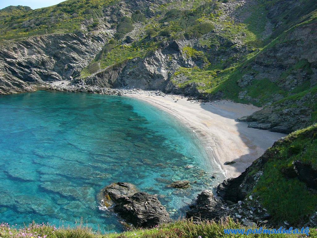 Rita B&B Sea Sun And Nature ซานตา มาเรีย ลา ปาลมา ภายนอก รูปภาพ